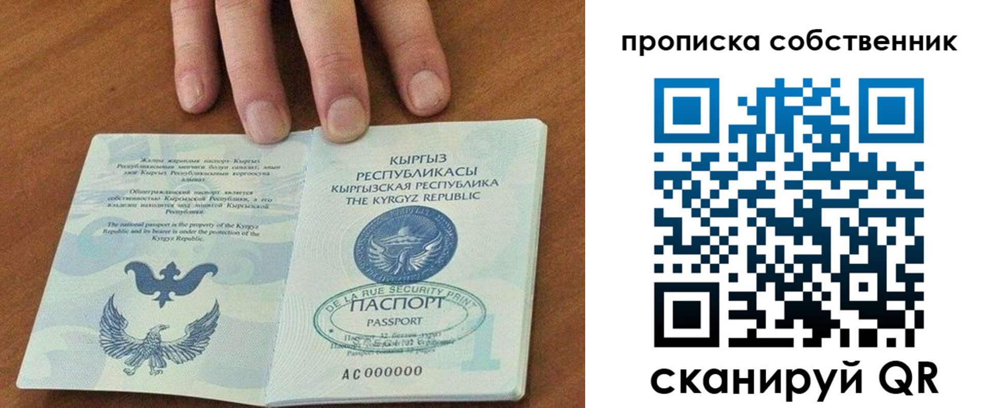 временная регистрация надежно в Дубне